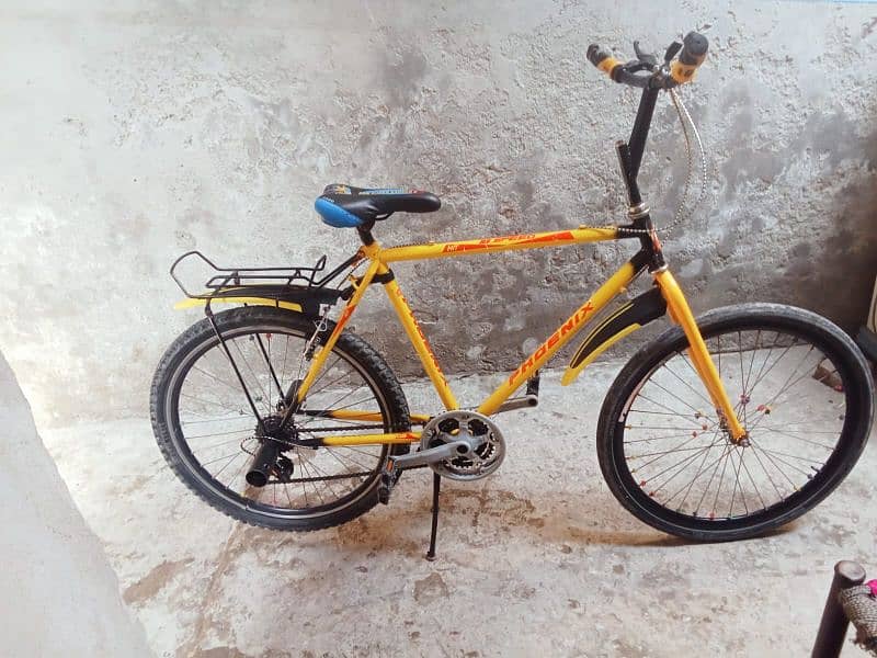 Slightly used Wheeling Cycle with gears 2