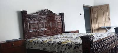 bed for sale condition New