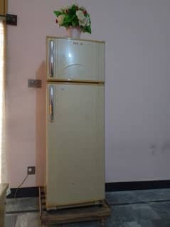 singer fridge 03156395780