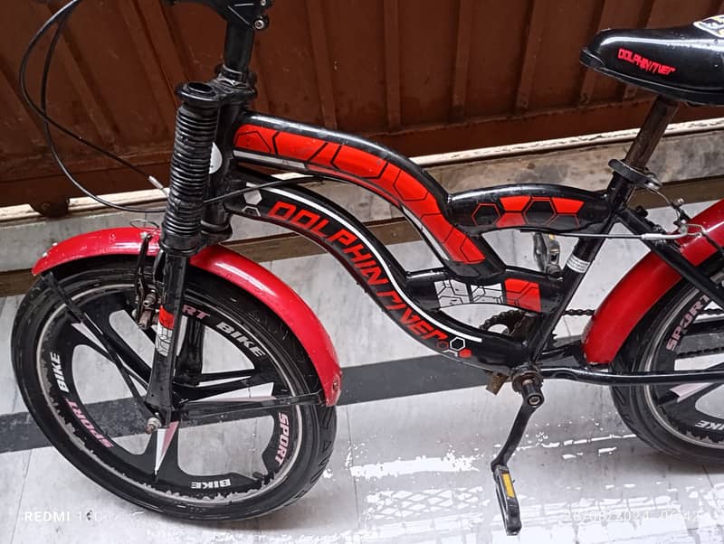 Dolphin River Kids Cycle For Sale 0