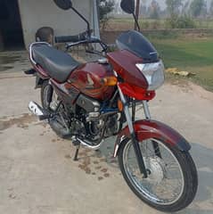 Honda Prodor 100cc 2023 Model