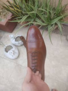 pellelavori brown oxford for sale size 41