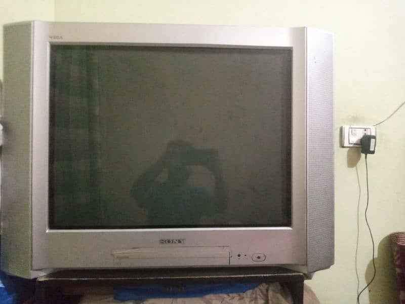 Sony Wega  TV 2