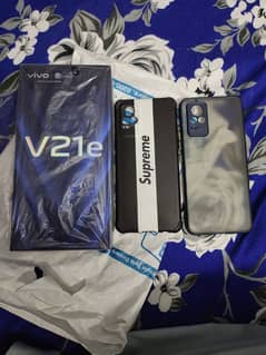 Vivo