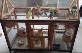 4ft ( pinjra )  cocktail birds large cage