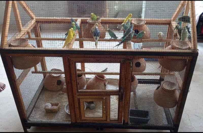 4ft ( pinjra )  cocktail birds large cage 0