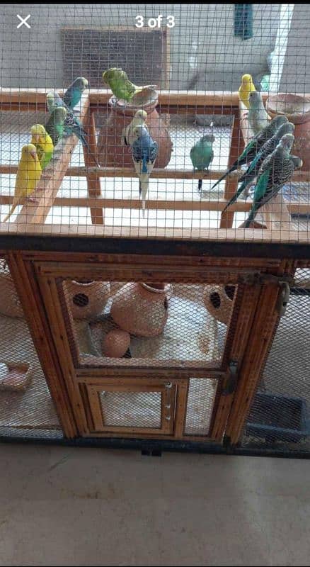 4ft ( pinjra )  cocktail birds large cage 1