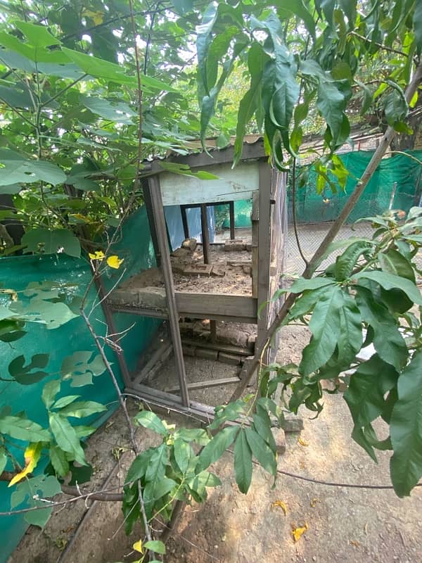 cage for sale 0