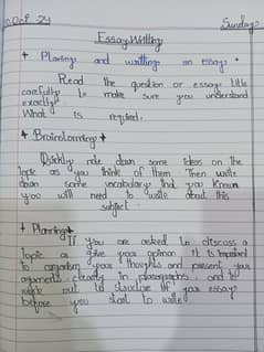 hand writing assignment