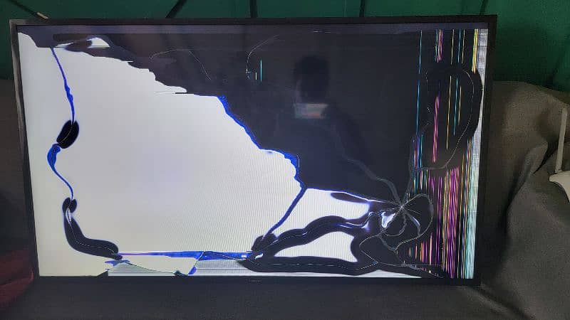 Samsung 49" HD LCD TV (Model: N5300) - Broken LCD Panel 2