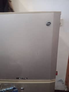 pel medium size fridge