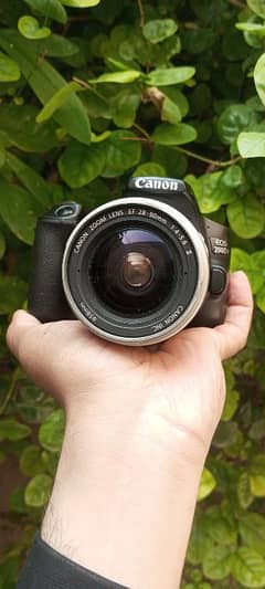 canon 200dmarkii