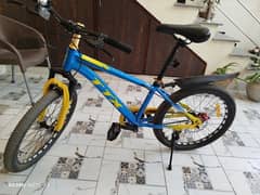 TTX 20 Inches Bike