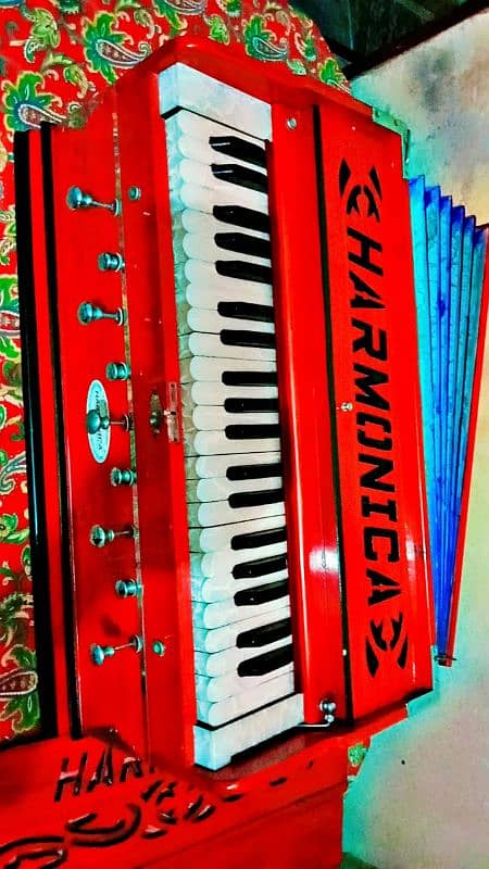 Accordion|Piano|Melodica|Keyboard|Harmonium|Tabla|Dholak|Rabab 9