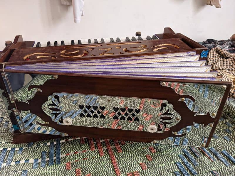 Accordion|Piano|Melodica|Keyboard|Harmonium|Tabla|Dholak|Rabab 10