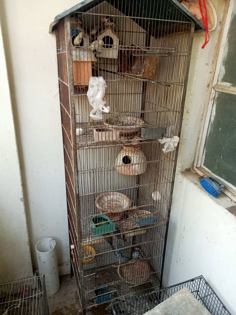 Cage plus finches and dove breeding pairs 2