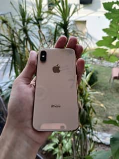 iphone xs 64 gb dual pta approved