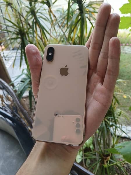 iphone xs 64 gb dual pta approved 1