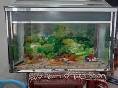 aquarium for sale