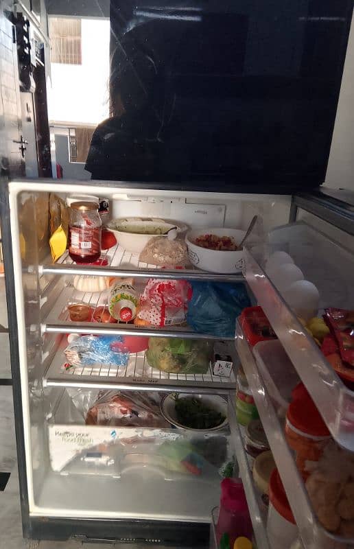 Fridge 3