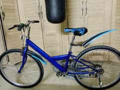 japani bycycle for sale