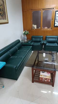 5 Green Sofa Set Leather