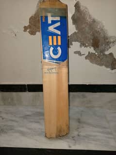 hard ball bat for sale