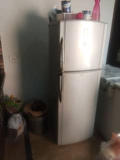 TOSHIBA NO FROST FRIDGE