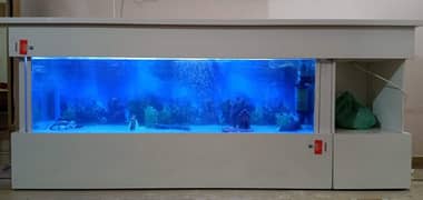 aquarium+LCD