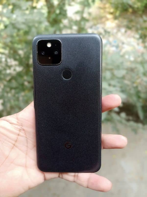 Google Pixel 5 Waterpack 0