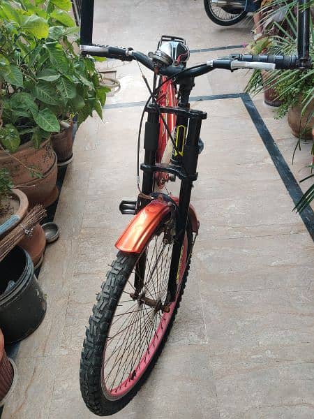 Cycle for Sale 0