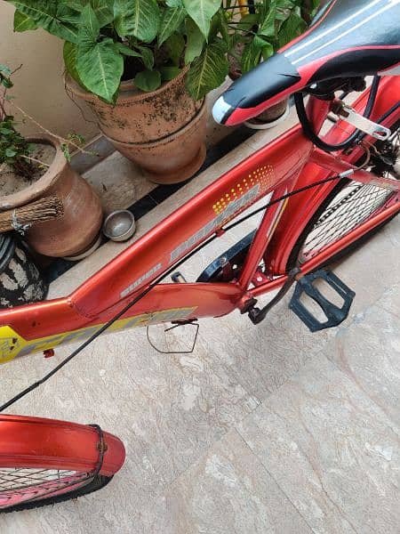 Cycle for Sale 2