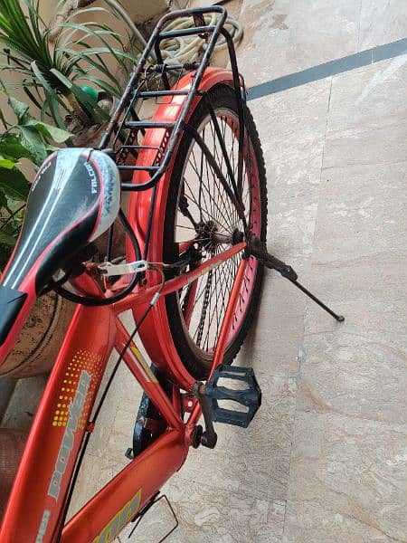 Cycle for Sale 3