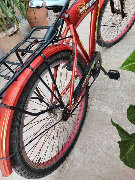 Cycle for Sale 6