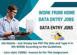 Online data typing part time home based jobs for females and male aply