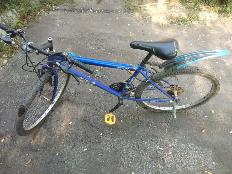 Bicycle for sale 2