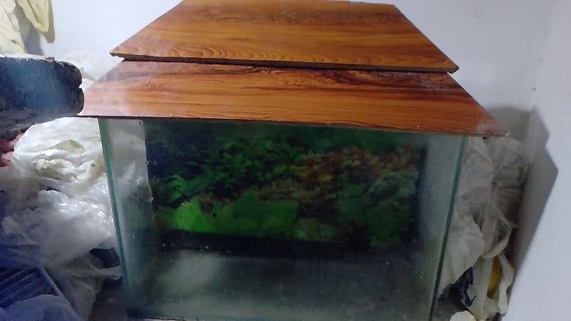 Aquarium for sale WhatsApp NUM 03065552120 0