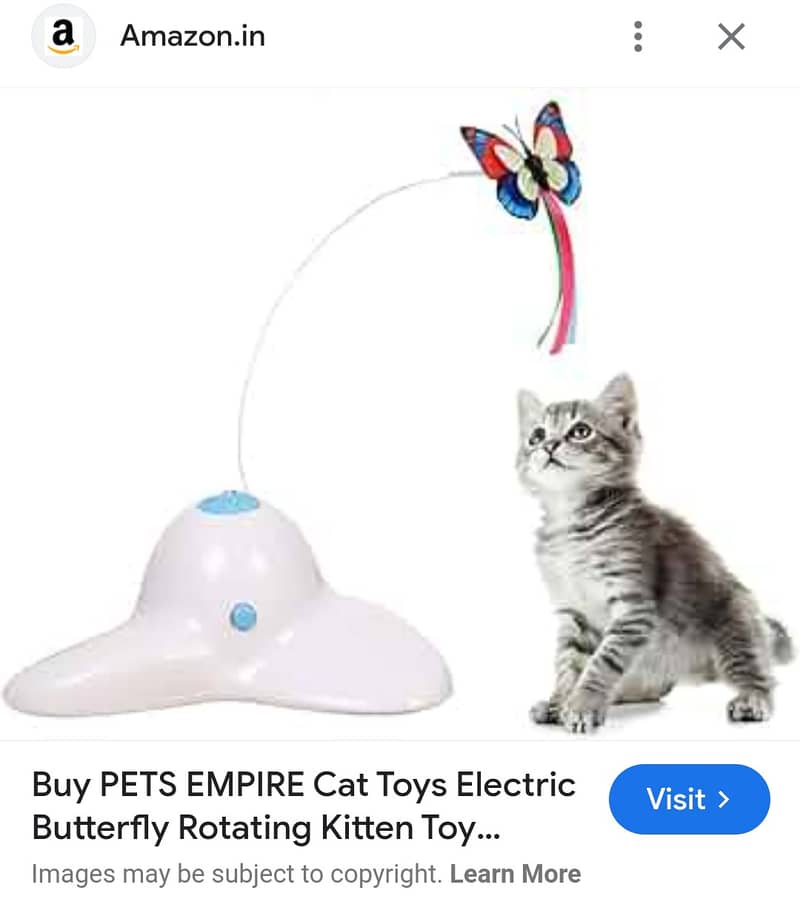 PET CAT & DOG ACCESSORIES 2