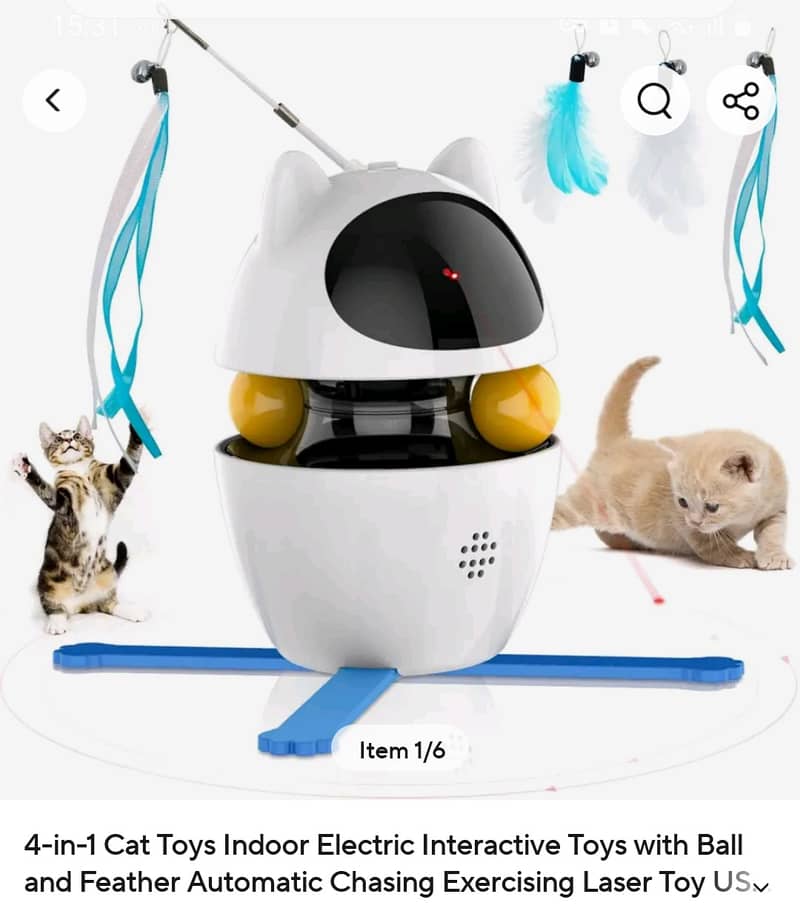 PET CAT & DOG ACCESSORIES 12