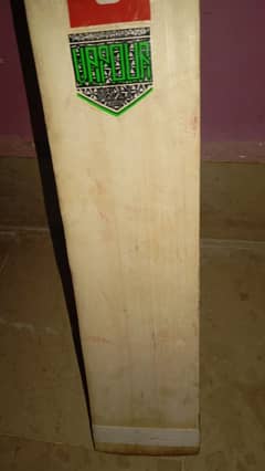 hard ball cricket bat