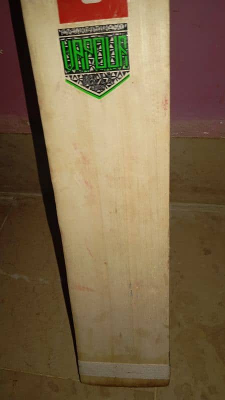 hard ball cricket bat 0