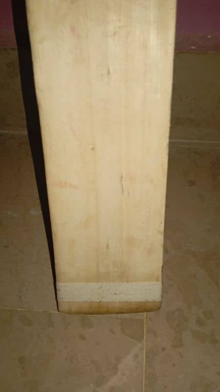 hard ball cricket bat 1