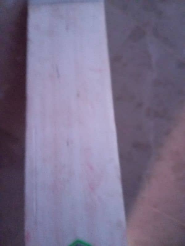 hard ball cricket bat 3