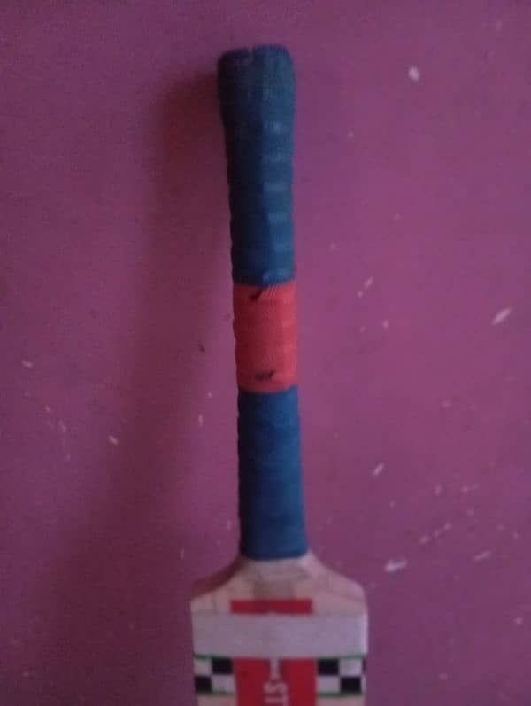 hard ball cricket bat 7