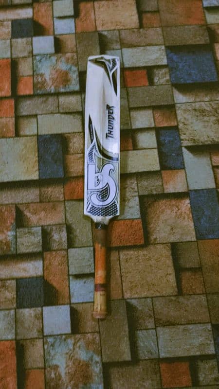 Graynicolls hard ball bat 2