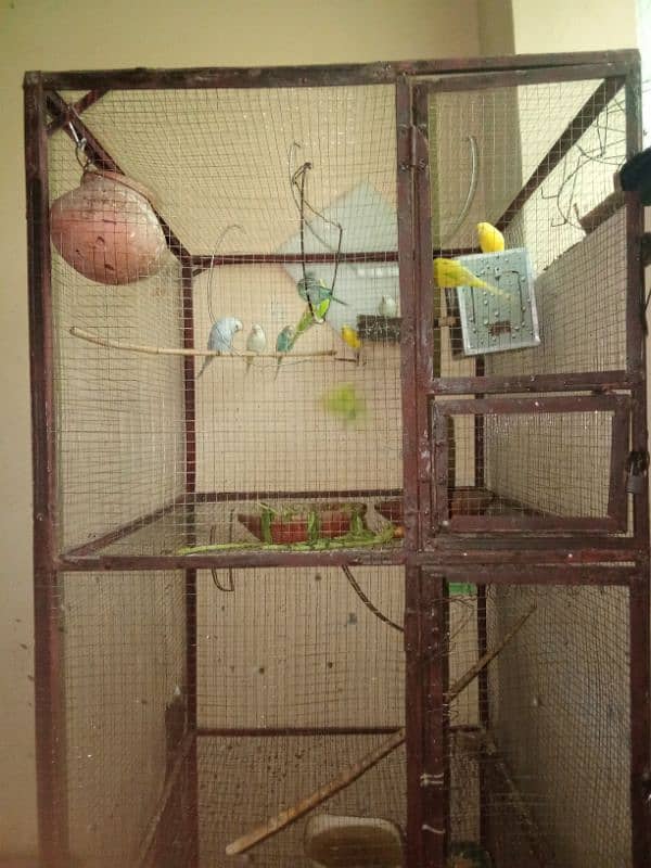 3 Portion Birds Cage For Sale 0