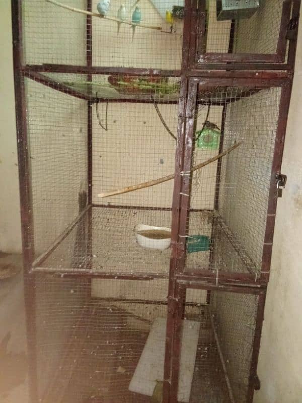 3 Portion Birds Cage For Sale 1