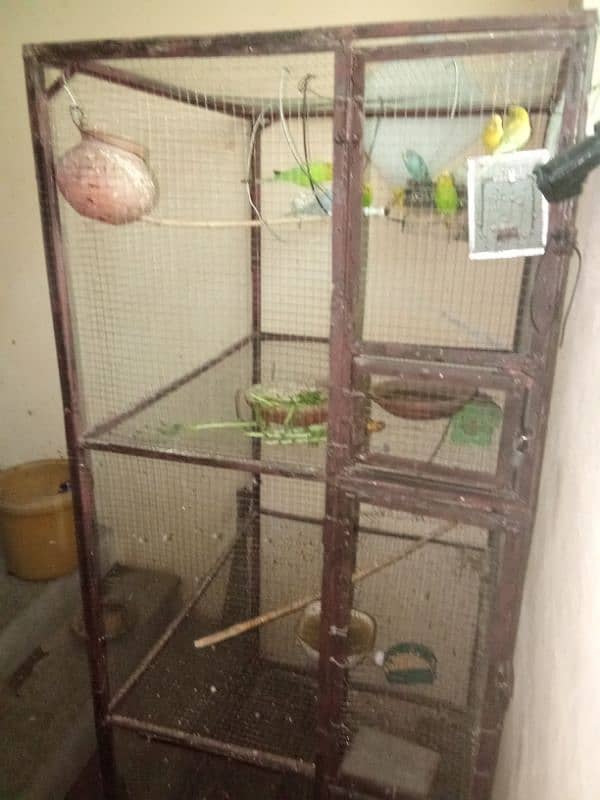 3 Portion Birds Cage For Sale 3