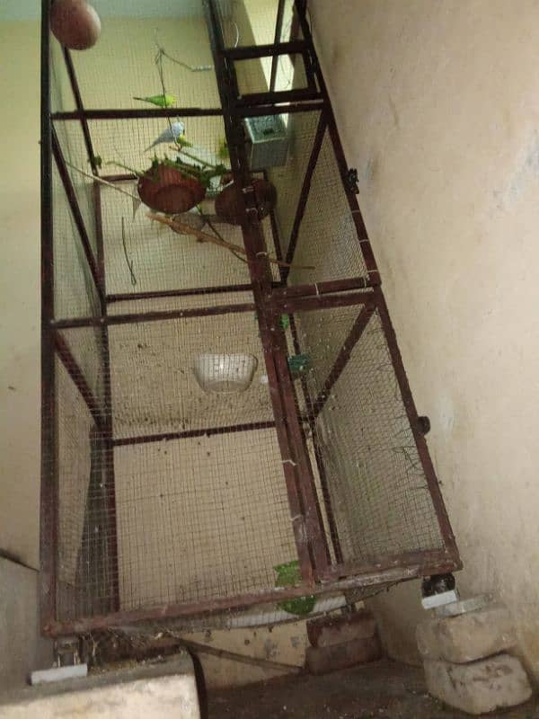 3 Portion Birds Cage For Sale 4