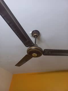 Fancy ceiling fans brown color. Price is only for 1 peice.